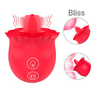 SHD-S536-4 Voluptuous Flower -4