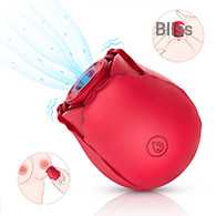 SHD-D3605 Midnight Rose (Not available for AMAZON usa, canada)