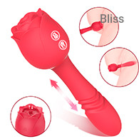 SHD-S389-16 Immortal flower 16