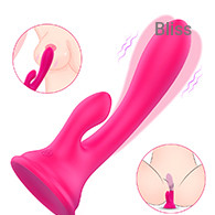 SHD-S431 Dolphin lover