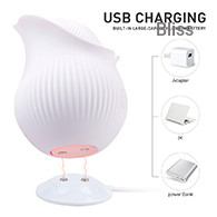 SHD-D2810 White Rose