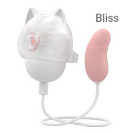 SHD-X017-2 Lucky Cat-2