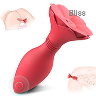 SHD-S559 Morning Glory